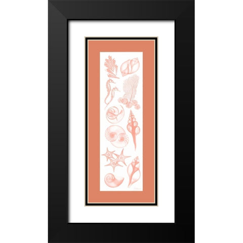 Sealife Coral Matte Black Modern Wood Framed Art Print with Double Matting by Koetsier, Albert