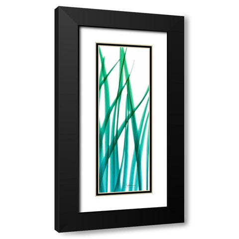 Snow Drop Flowing Blue Green 2 Black Modern Wood Framed Art Print with Double Matting by Koetsier, Albert