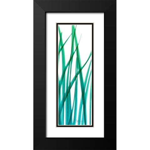 Snow Drop Flowing Blue Green 2 Black Modern Wood Framed Art Print with Double Matting by Koetsier, Albert