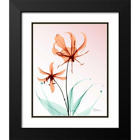 Gloriosa Lily Corals Black Modern Wood Framed Art Print with Double Matting by Koetsier, Albert