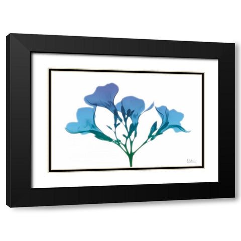 Oleander Turq Indigo Black Modern Wood Framed Art Print with Double Matting by Koetsier, Albert