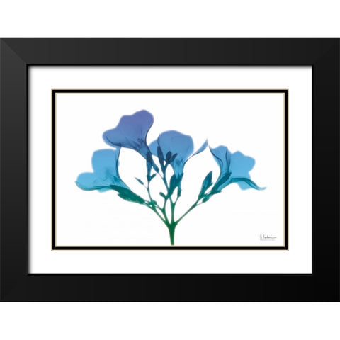 Oleander Turq Indigo Black Modern Wood Framed Art Print with Double Matting by Koetsier, Albert