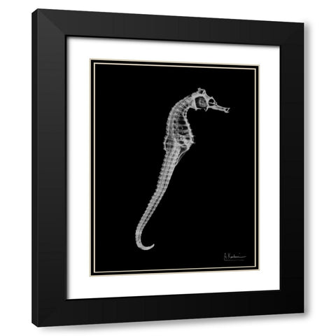 Seahorse In The Black Black Modern Wood Framed Art Print with Double Matting by Koetsier, Albert