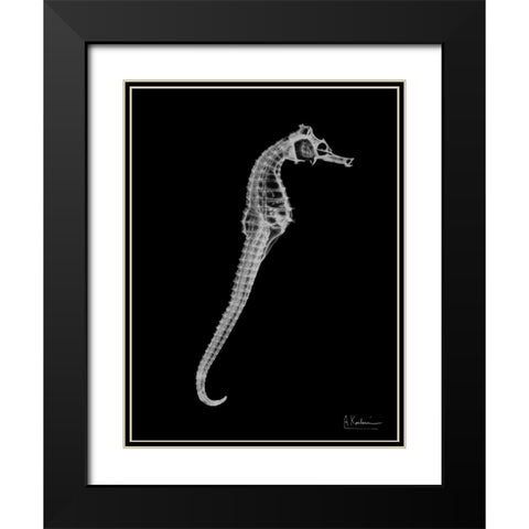 Seahorse In The Black Black Modern Wood Framed Art Print with Double Matting by Koetsier, Albert