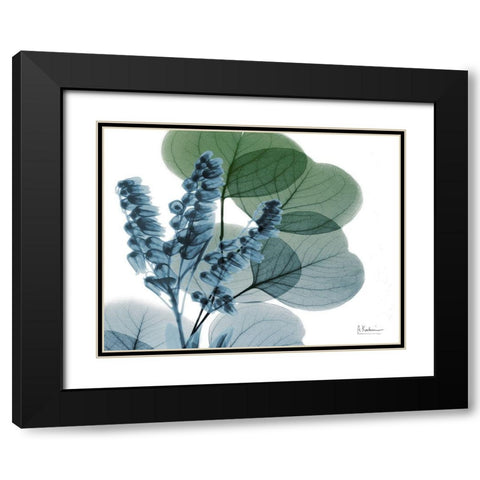 Lilly of Eucalyptus Black Modern Wood Framed Art Print with Double Matting by Koetsier, Albert