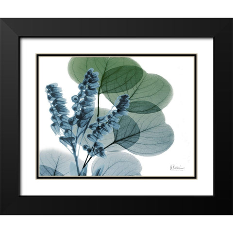 Lilly of Eucalyptus Black Modern Wood Framed Art Print with Double Matting by Koetsier, Albert