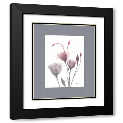 GentianB9 Pink Matte Black Modern Wood Framed Art Print with Double Matting by Koetsier, Albert