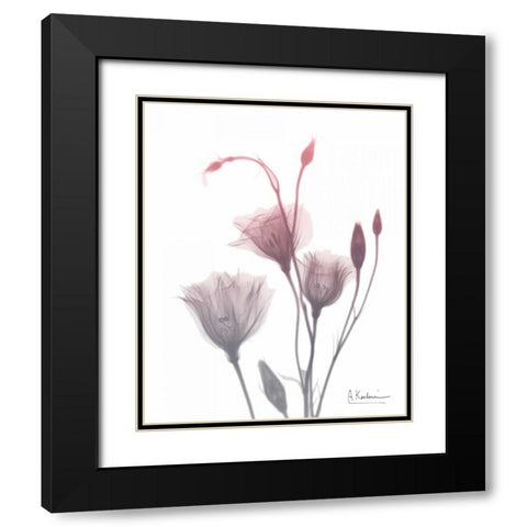 GentianB9 Pink Black Modern Wood Framed Art Print with Double Matting by Koetsier, Albert