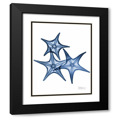 Blue Trio Starfish Black Modern Wood Framed Art Print with Double Matting by Koetsier, Albert