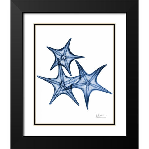 Blue Trio Starfish Black Modern Wood Framed Art Print with Double Matting by Koetsier, Albert
