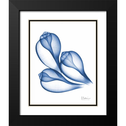 Blue Trio Conch Black Modern Wood Framed Art Print with Double Matting by Koetsier, Albert