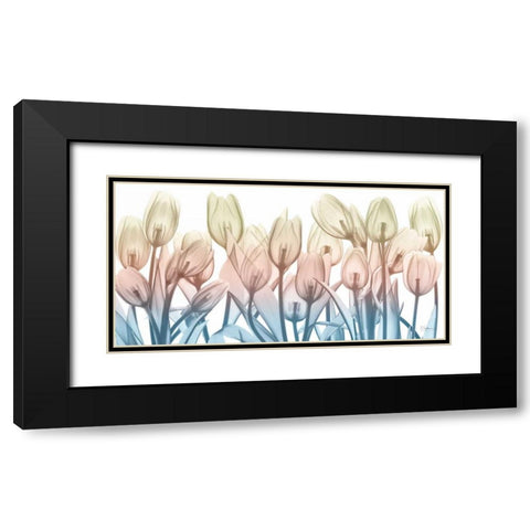 Spring Blooms Black Modern Wood Framed Art Print with Double Matting by Koetsier, Albert