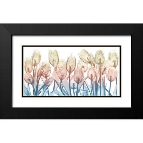 Spring Blooms Black Modern Wood Framed Art Print with Double Matting by Koetsier, Albert