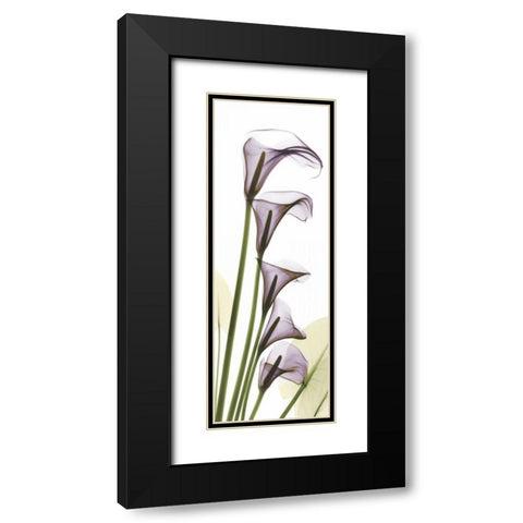 Lavender Dreams Black Modern Wood Framed Art Print with Double Matting by Koetsier, Albert