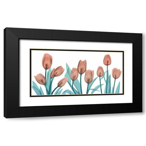 Burning Tulips Black Modern Wood Framed Art Print with Double Matting by Koetsier, Albert