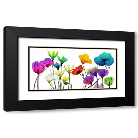 Floral Calm Pop Black Modern Wood Framed Art Print with Double Matting by Koetsier, Albert