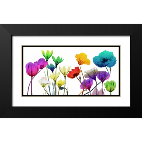 Floral Calm Pop Black Modern Wood Framed Art Print with Double Matting by Koetsier, Albert