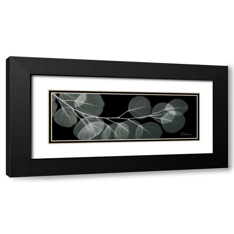 Eucalyptus Night 1 Black Modern Wood Framed Art Print with Double Matting by Koetsier, Albert