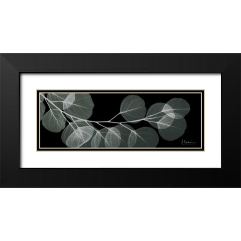 Eucalyptus Night 1 Black Modern Wood Framed Art Print with Double Matting by Koetsier, Albert