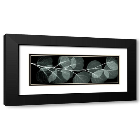 Eucalyptus Night 2 Black Modern Wood Framed Art Print with Double Matting by Koetsier, Albert