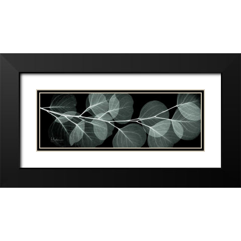 Eucalyptus Night 2 Black Modern Wood Framed Art Print with Double Matting by Koetsier, Albert