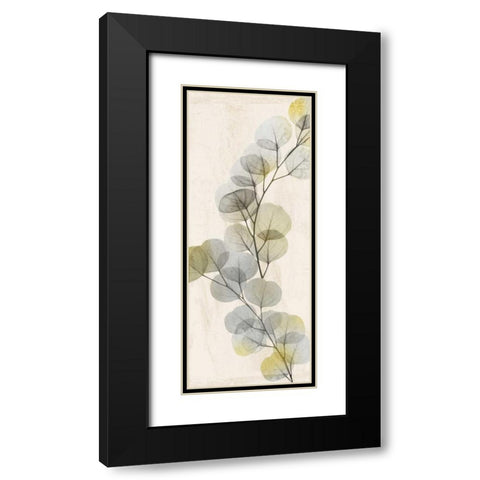 Golden Flaked 2 Black Modern Wood Framed Art Print with Double Matting by Koetsier, Albert