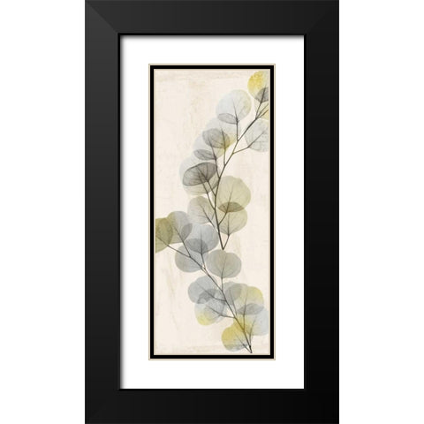 Golden Flaked 2 Black Modern Wood Framed Art Print with Double Matting by Koetsier, Albert