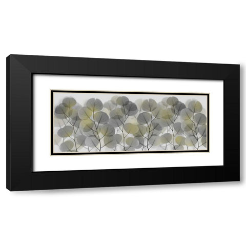 Thru The Brush Black Modern Wood Framed Art Print with Double Matting by Koetsier, Albert