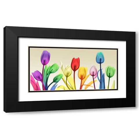 Floral Rainbow Splurge Black Modern Wood Framed Art Print with Double Matting by Koetsier, Albert