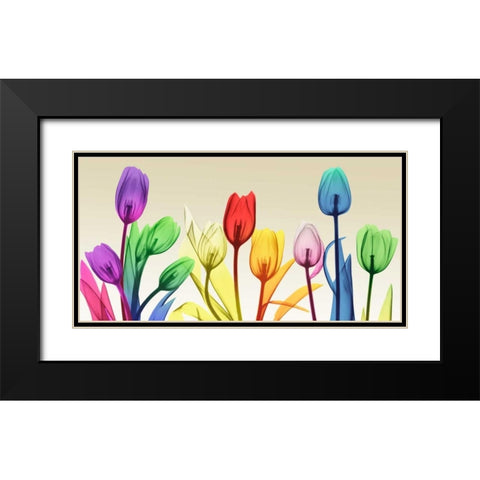 Floral Rainbow Splurge Black Modern Wood Framed Art Print with Double Matting by Koetsier, Albert