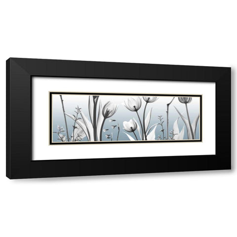 Heavenly Botanicals Black Modern Wood Framed Art Print with Double Matting by Koetsier, Albert
