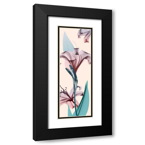 Spring Lily Black Modern Wood Framed Art Print with Double Matting by Koetsier, Albert