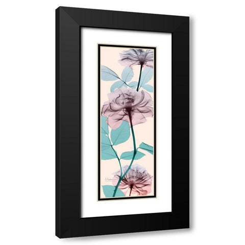 Spring Rose Black Modern Wood Framed Art Print with Double Matting by Koetsier, Albert