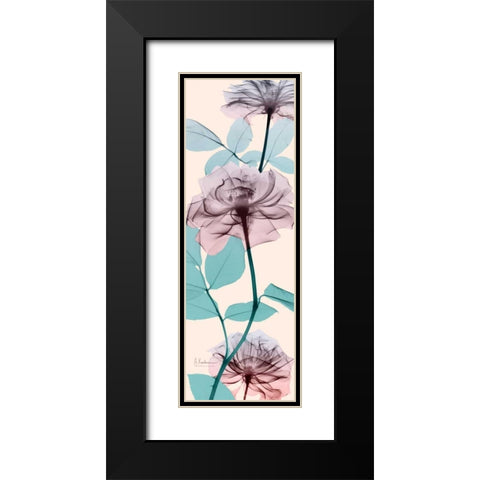 Spring Rose Black Modern Wood Framed Art Print with Double Matting by Koetsier, Albert