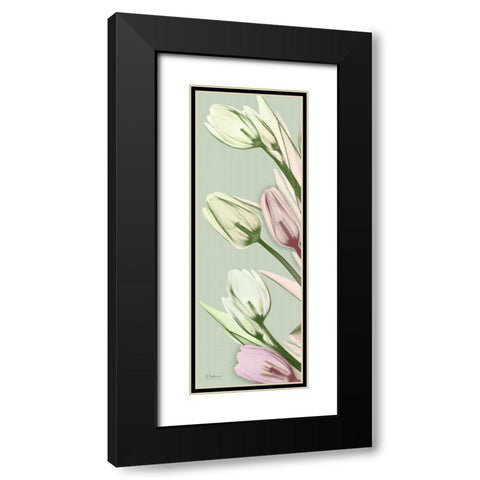 Spring Time Tulips Black Modern Wood Framed Art Print with Double Matting by Koetsier, Albert