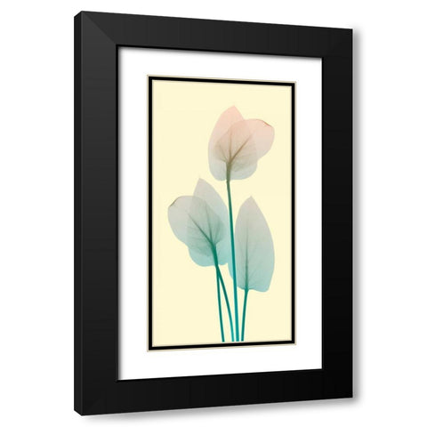 Blissful Bloom 1 Black Modern Wood Framed Art Print with Double Matting by Koetsier, Albert