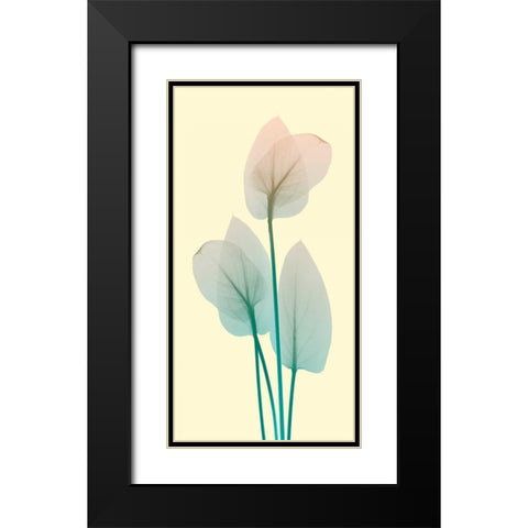 Blissful Bloom 1 Black Modern Wood Framed Art Print with Double Matting by Koetsier, Albert