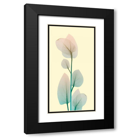 Blissful Bloom 2 Black Modern Wood Framed Art Print with Double Matting by Koetsier, Albert