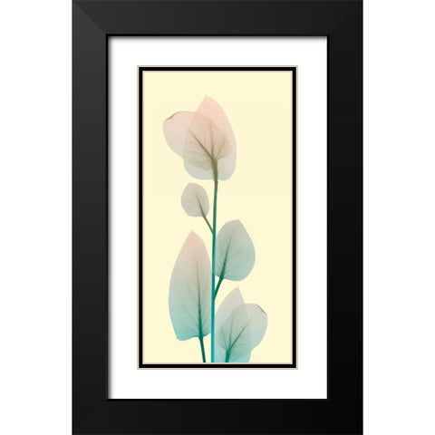 Blissful Bloom 2 Black Modern Wood Framed Art Print with Double Matting by Koetsier, Albert