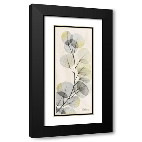 Eucalyptus Sunshine Black Modern Wood Framed Art Print with Double Matting by Koetsier, Albert