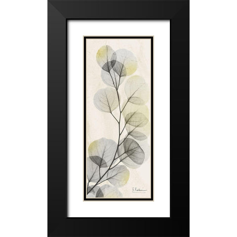 Eucalyptus Sunshine Black Modern Wood Framed Art Print with Double Matting by Koetsier, Albert