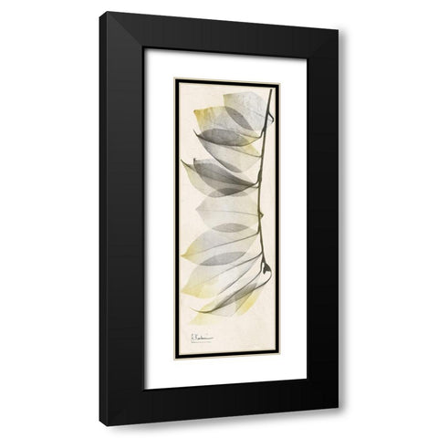 Camelia Sunshine Black Modern Wood Framed Art Print with Double Matting by Koetsier, Albert