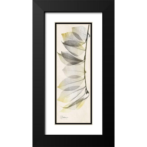 Camelia Sunshine Black Modern Wood Framed Art Print with Double Matting by Koetsier, Albert