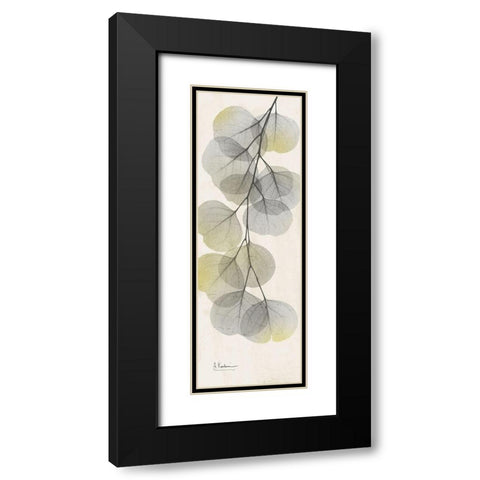 Eucalyptus Sunshine 2 Black Modern Wood Framed Art Print with Double Matting by Koetsier, Albert