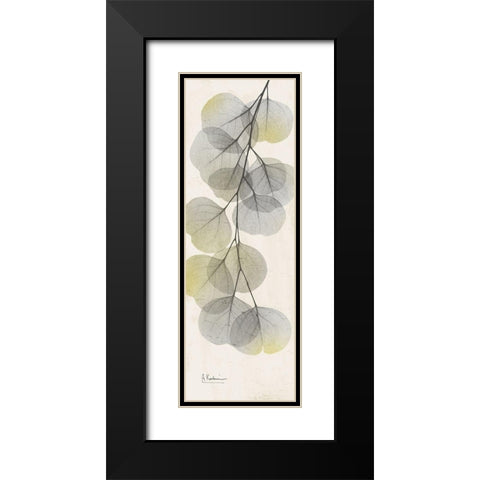 Eucalyptus Sunshine 2 Black Modern Wood Framed Art Print with Double Matting by Koetsier, Albert