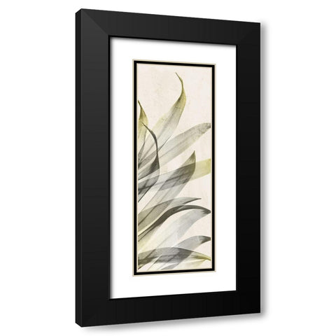 Sun of India Black Modern Wood Framed Art Print with Double Matting by Koetsier, Albert