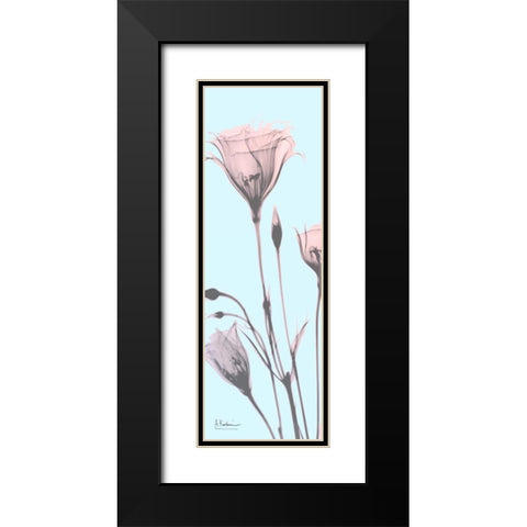 Gentian Paradise Black Modern Wood Framed Art Print with Double Matting by Koetsier, Albert