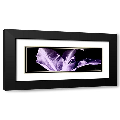 Violet Explosion 1 Black Modern Wood Framed Art Print with Double Matting by Koetsier, Albert