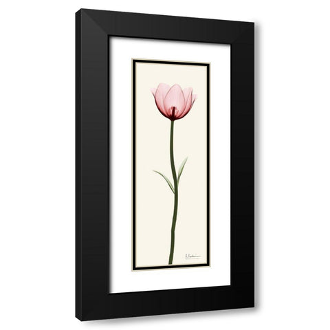 Standing Tall 1 Black Modern Wood Framed Art Print with Double Matting by Koetsier, Albert