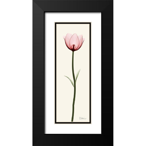 Standing Tall 1 Black Modern Wood Framed Art Print with Double Matting by Koetsier, Albert